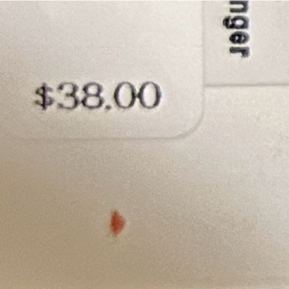 Express Earrings - Picture 4 of 6